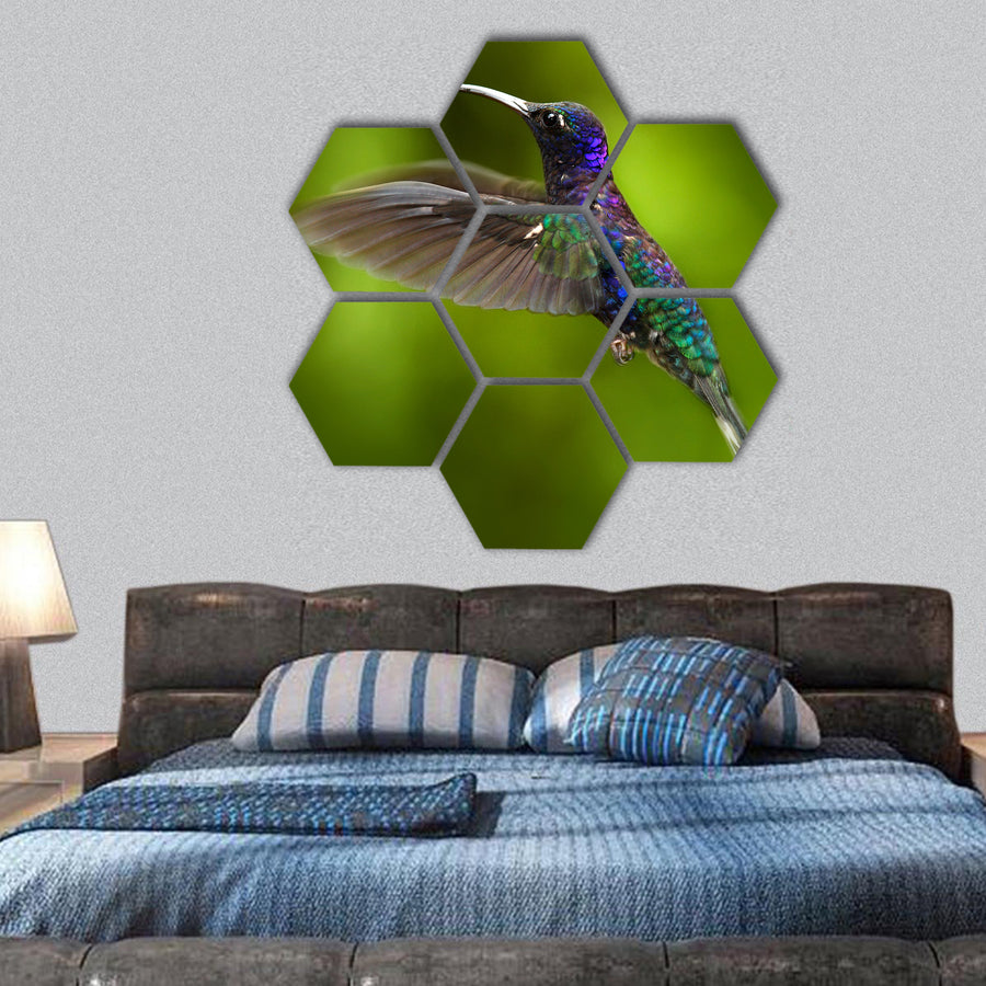 Blue hummingbird in fly hexagonal canvas wall art