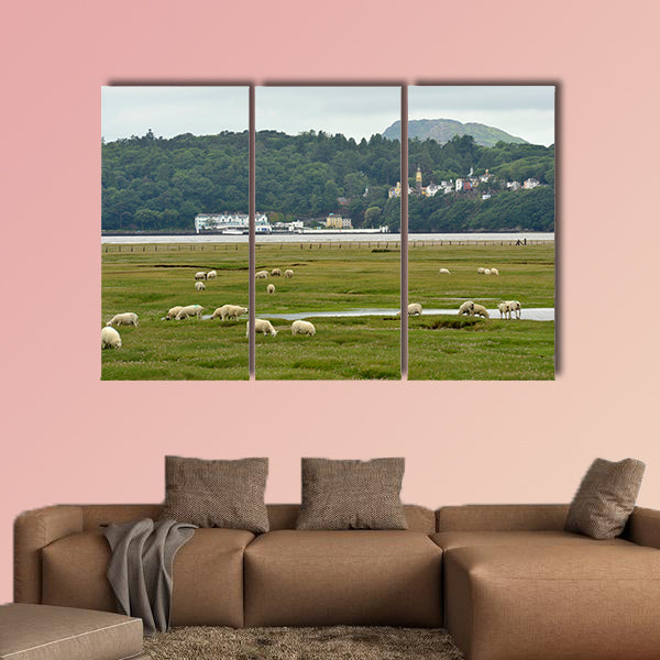 Portmeirion Village on the River Dwyryd Estuary with grazing salt wall art