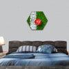 Cricket ball on a grass hexagonal canvas wall art