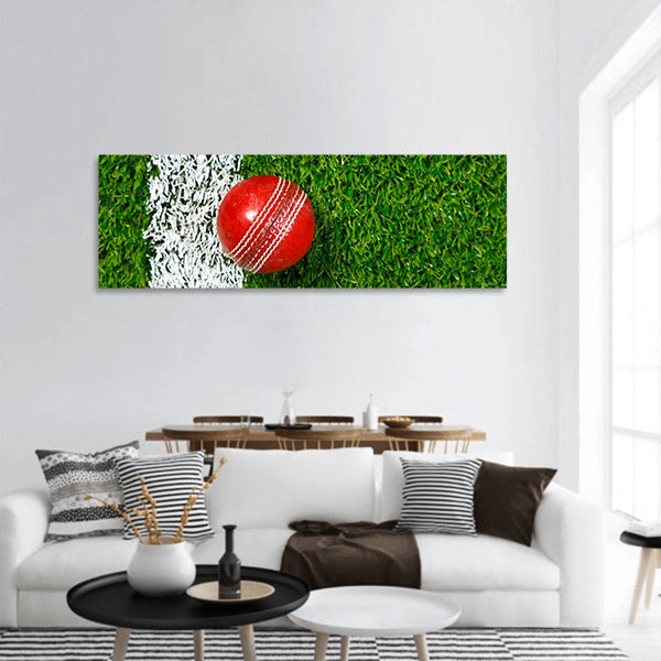 A cricket ball on a grass  to the white line Panoramic Canvas Wall Art