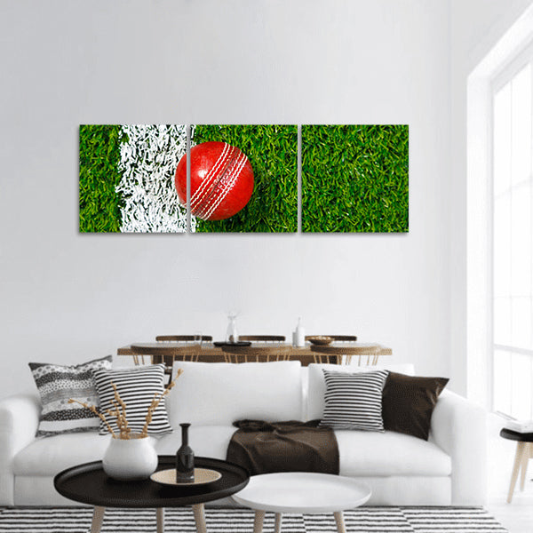 A cricket ball on a grass  to the white line Panoramic Canvas Wall Art