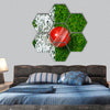 Cricket ball on a grass hexagonal canvas wall art