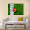 A Cricket ball on a grass next to the white line Multi Multi Panel Canvas Wall art