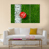 A Cricket ball on a grass next to the white line Multi Multi Panel Canvas Wall art