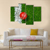 A Cricket ball on a grass next to the white line Multi Multi Panel Canvas Wall art