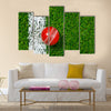 A Cricket ball on a grass next to the white line Multi Multi Panel Canvas Wall art