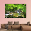 Fall forest stream Smolny in Russian primorye reserve multi panel canvas wall art