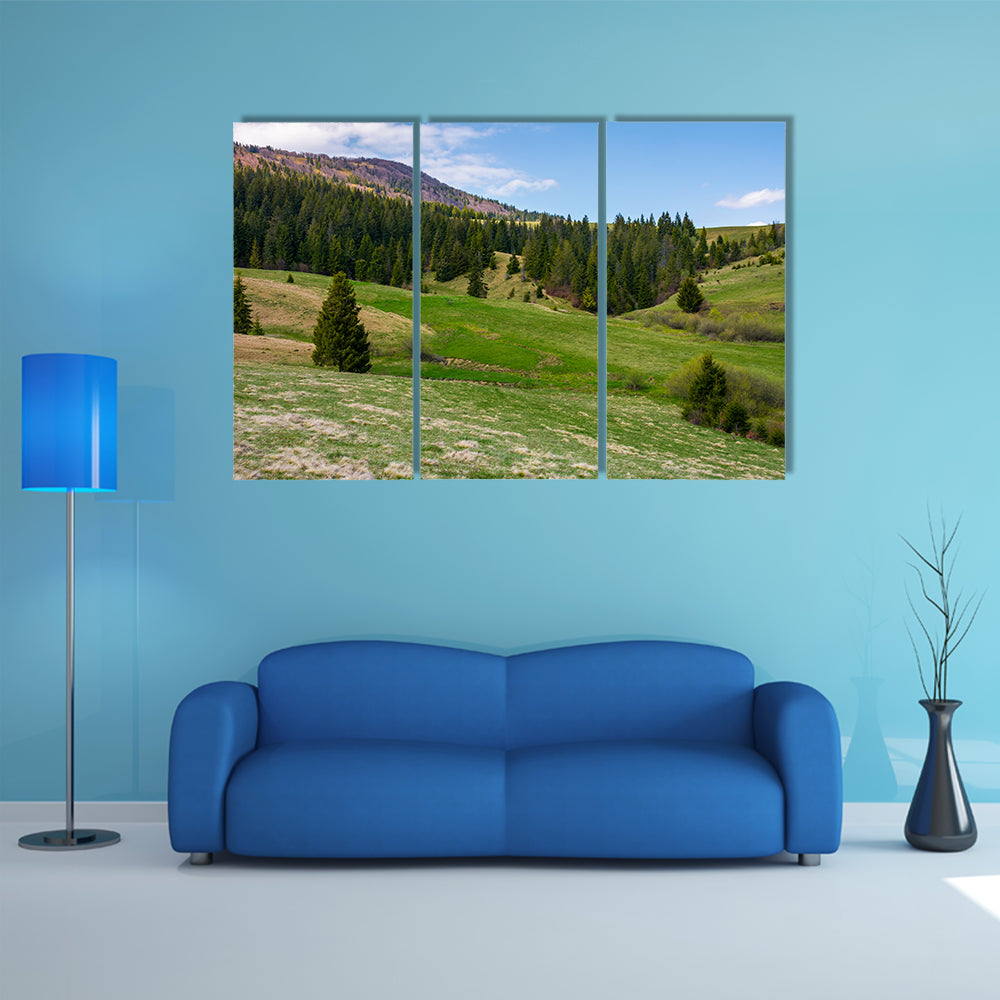 Grassy meadow at the foot of the mountain, beautiful landscape with spruce forest on hillside multi panel canvas wall art