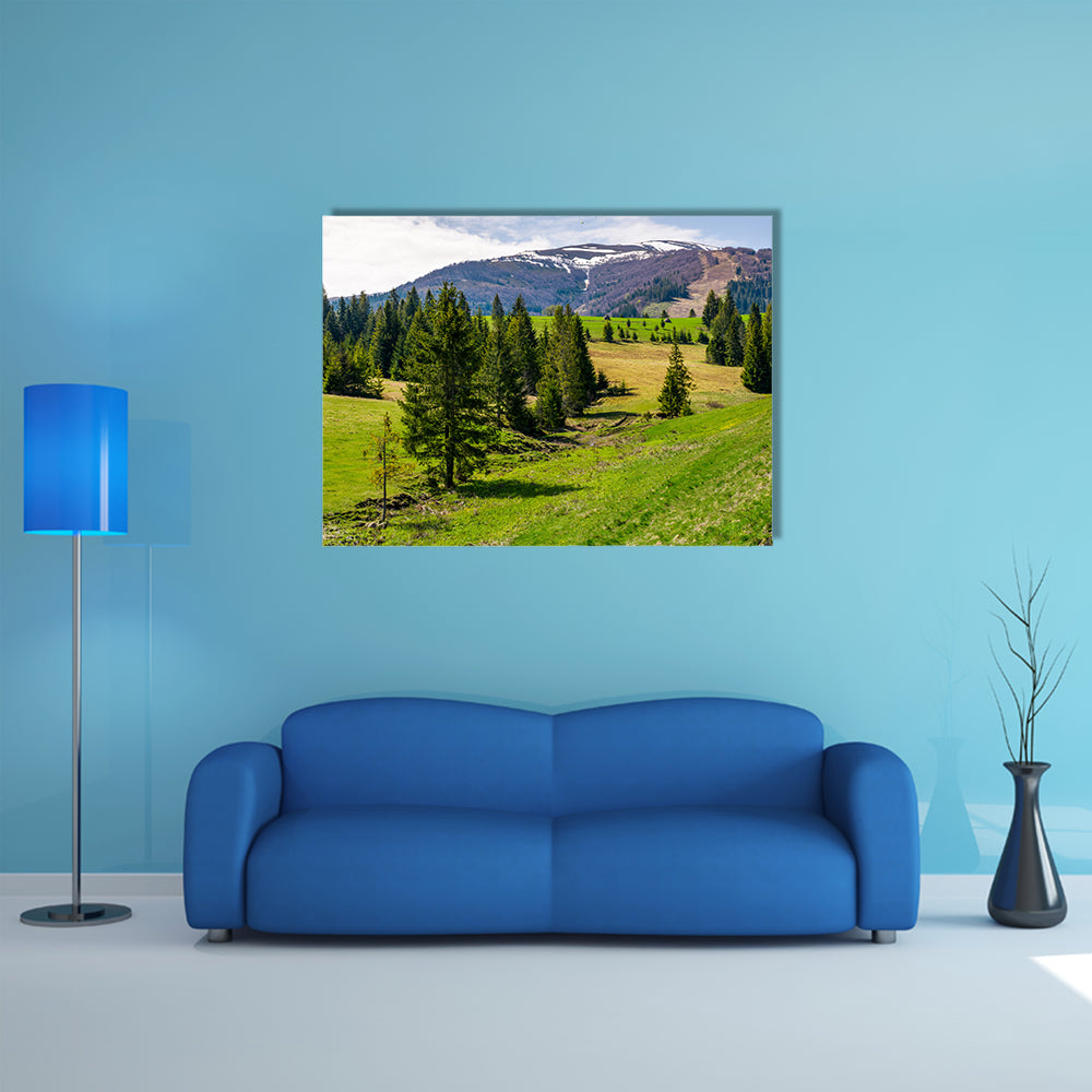Spruce forest on rolling hills in springtime multi panel canvas wall art