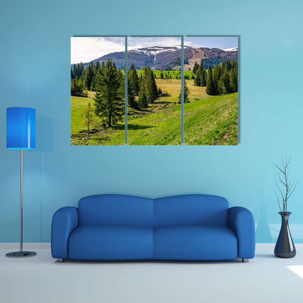 Spruce forest on rolling hills in springtime multi panel canvas wall art