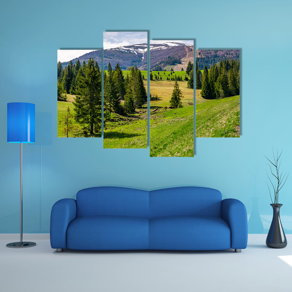 Spruce forest on rolling hills in springtime multi panel canvas wall art