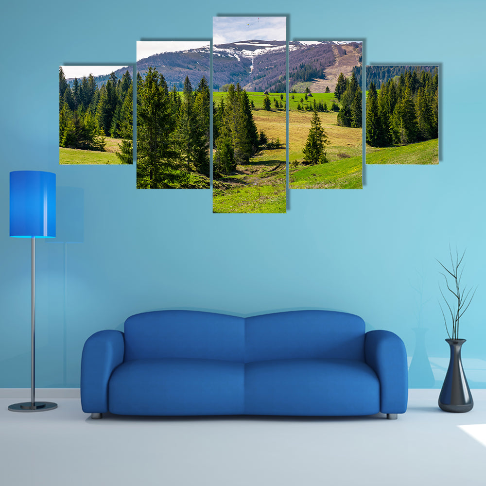 Spruce forest on rolling hills in springtime multi panel canvas wall art