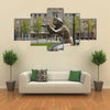 Fountain at Lazar Serebryakov embankment in Novorossiysk, Krasnodar region, Russia Multi Panel Canvas Wall Art