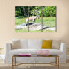 The nubian ibex is a specie of goat Multi Panel Canvas Wall art