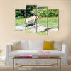 The nubian ibex is a specie of goat Multi Panel Canvas Wall art