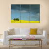 summer in the countryside in denmark rapse field Multi Panel Canvas Wall Art