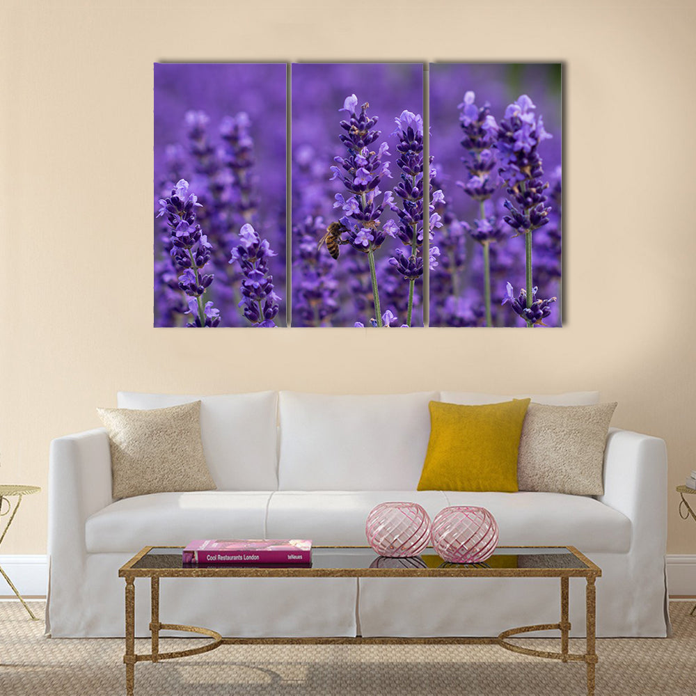 Honey bee on lavender flowers Multi Panel Canvas Wall Art
