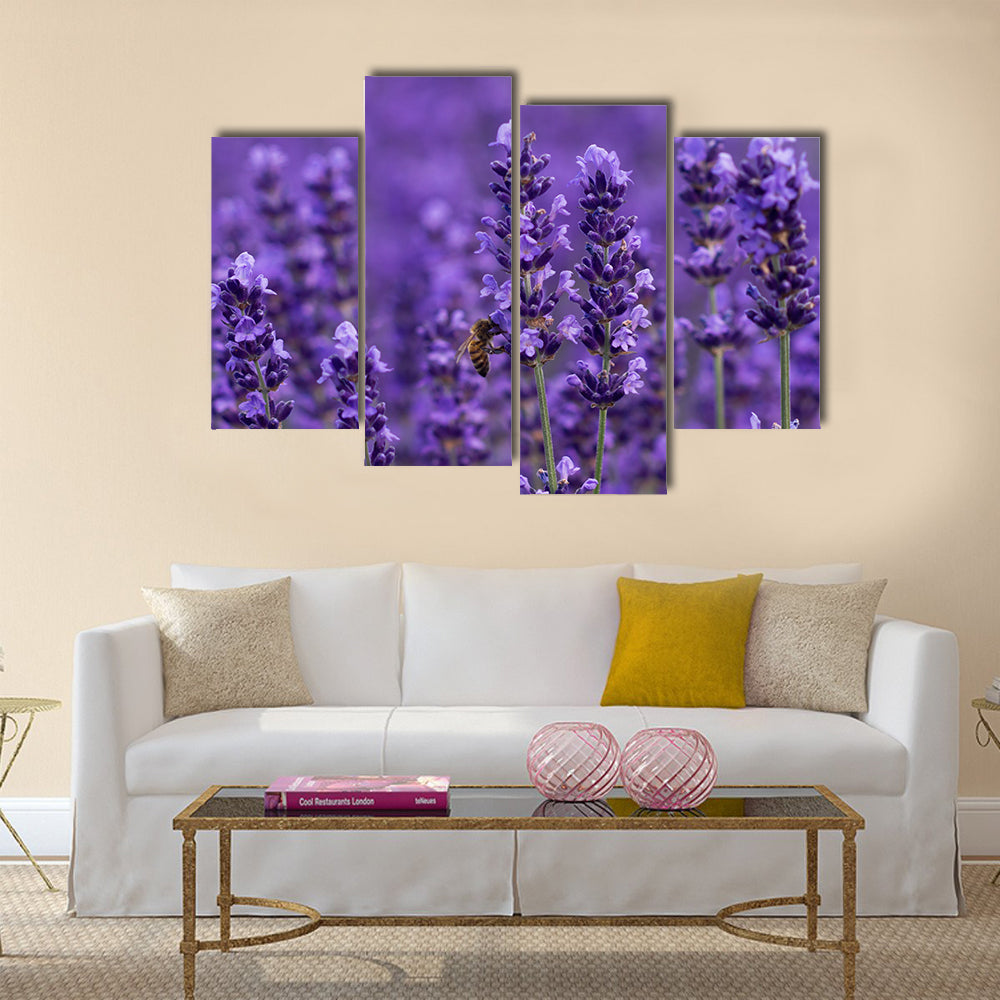 Honey bee on lavender flowers Multi Panel Canvas Wall Art