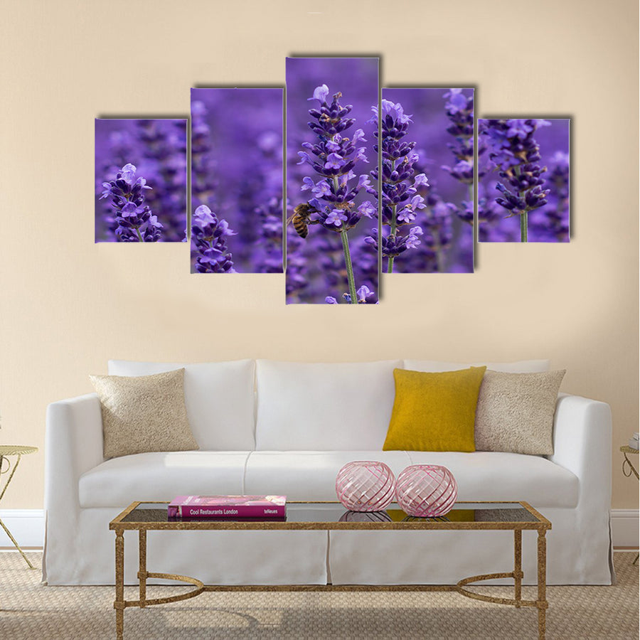 Honey bee on lavender flowers Multi Panel Canvas Wall Art