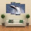 A Humpback Whale Calf Breaches Off Port Stephens While People In A Boat Look On Multi Panel Canvas Wall Art