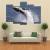 A Humpback Whale Calf Breaches Off Port Stephens While People In A Boat Look On Multi Panel Canvas Wall Art