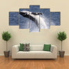 A Humpback Whale Calf Breaches Off Port Stephens While People In A Boat Look On Multi Panel Canvas Wall Art