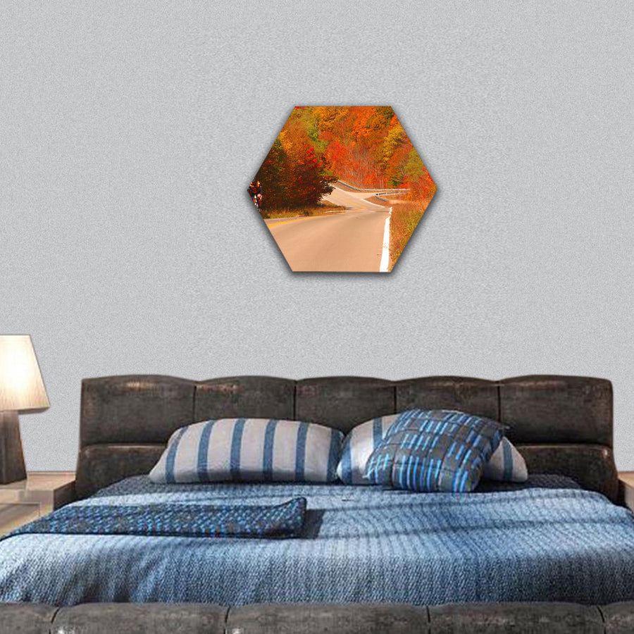 Highland Scenic Highway hexagonal canvas wall art