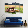 Old baseball, glove, and bat on field with base Multi Panel Canvas Wall Art