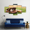 Old baseball, glove, and bat on field with base Multi Panel Canvas Wall Art