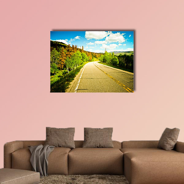 A beautiful sunny road among trees with colorful leaves wall art