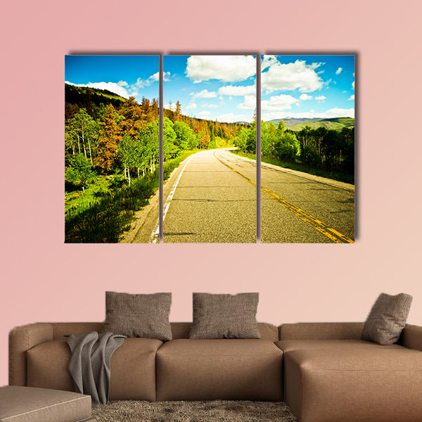 A beautiful sunny road among trees with colorful leaves wall art