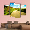 A beautiful sunny road among trees with colorful leaves wall art