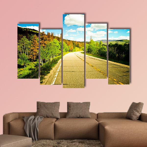 A beautiful sunny road among trees with colorful leaves wall art