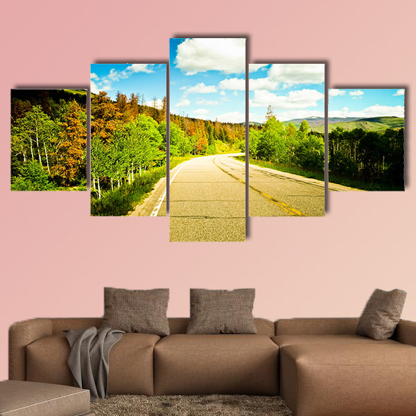 A beautiful sunny road among trees with colorful leaves wall art