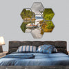 Summer cottages on an island in Norwegian fjord hexagonal canvas wall art