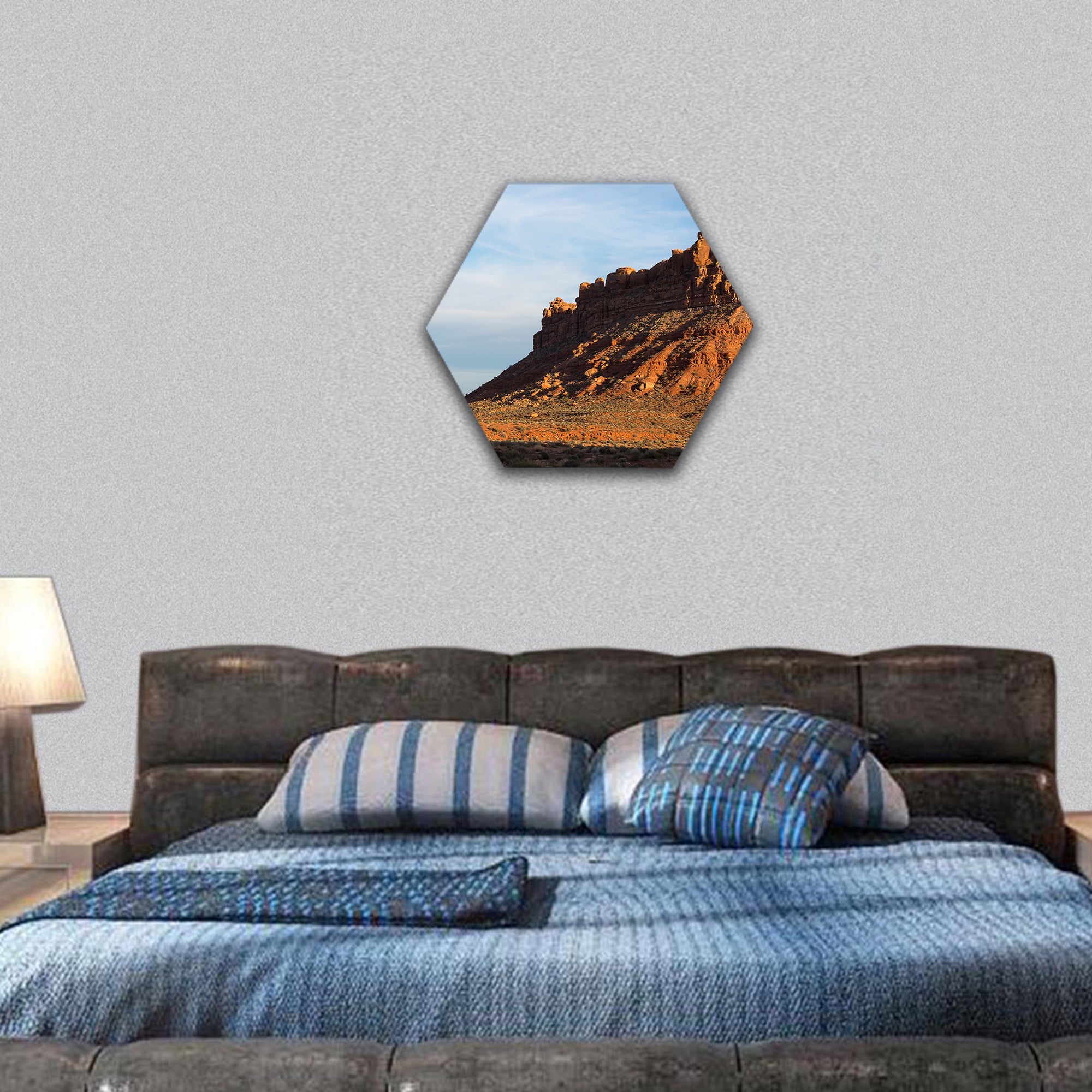 Valley of the Gods in southern Utah hexagonal canvas wall art