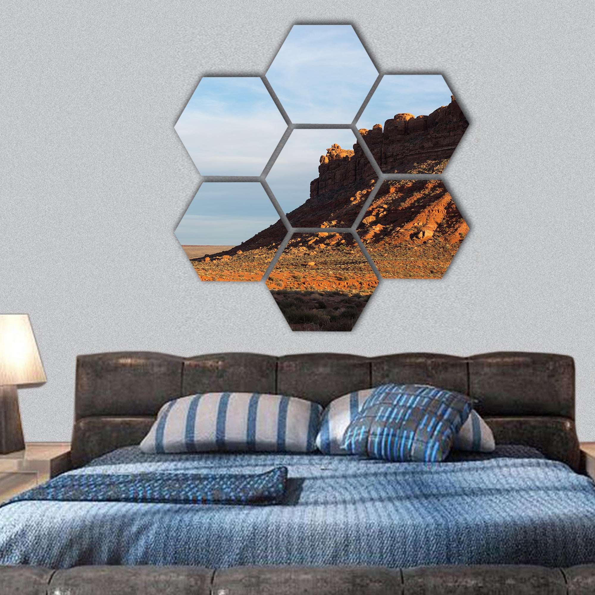 Valley of the Gods in southern Utah hexagonal canvas wall art