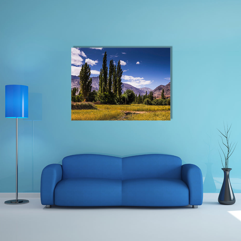 Beautiful view along the road in Leh, Ladakh, Jammu and Kashmir, India multi panel canvas wall art