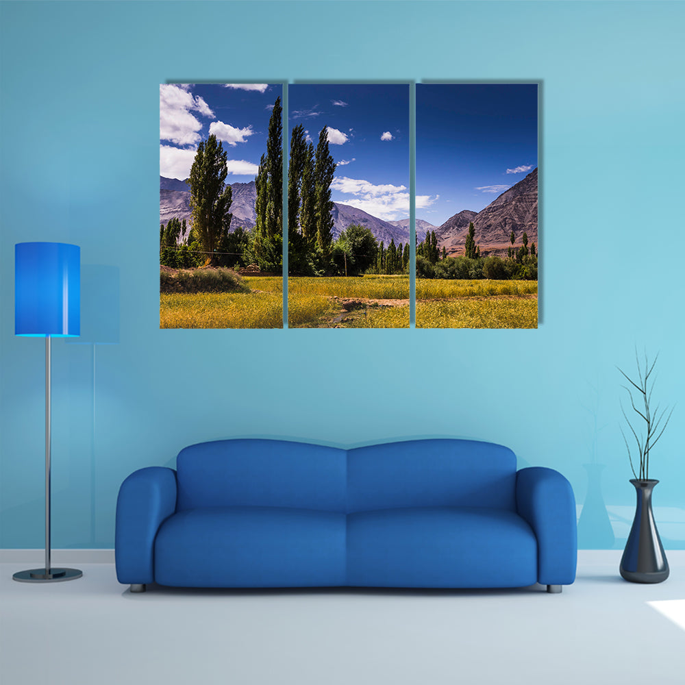 Beautiful view along the road in Leh, Ladakh, Jammu and Kashmir, India multi panel canvas wall art