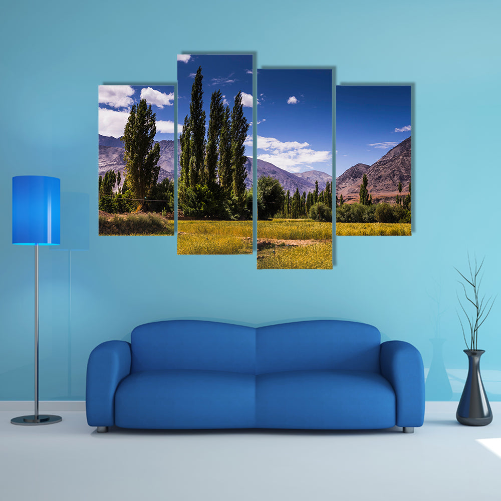 Beautiful view along the road in Leh, Ladakh, Jammu and Kashmir, India multi panel canvas wall art