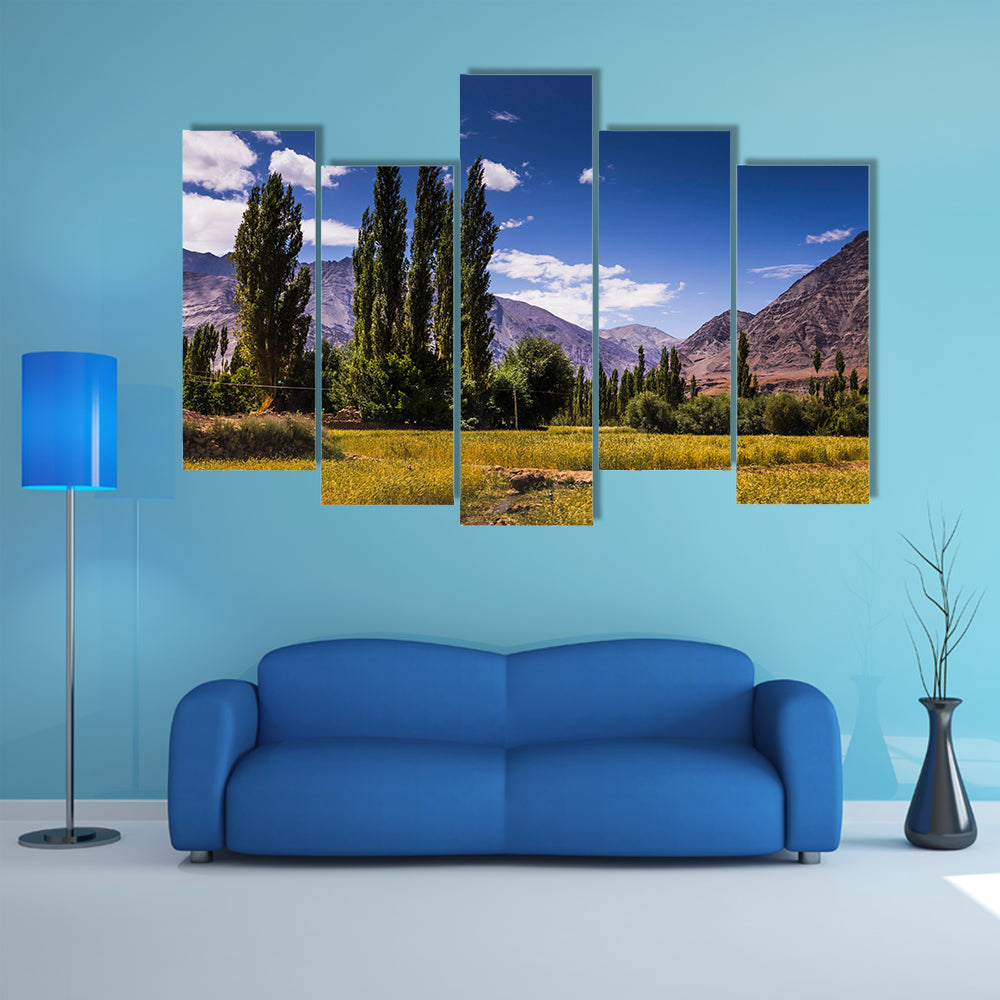 Beautiful view along the road in Leh, Ladakh, Jammu and Kashmir, India multi panel canvas wall art