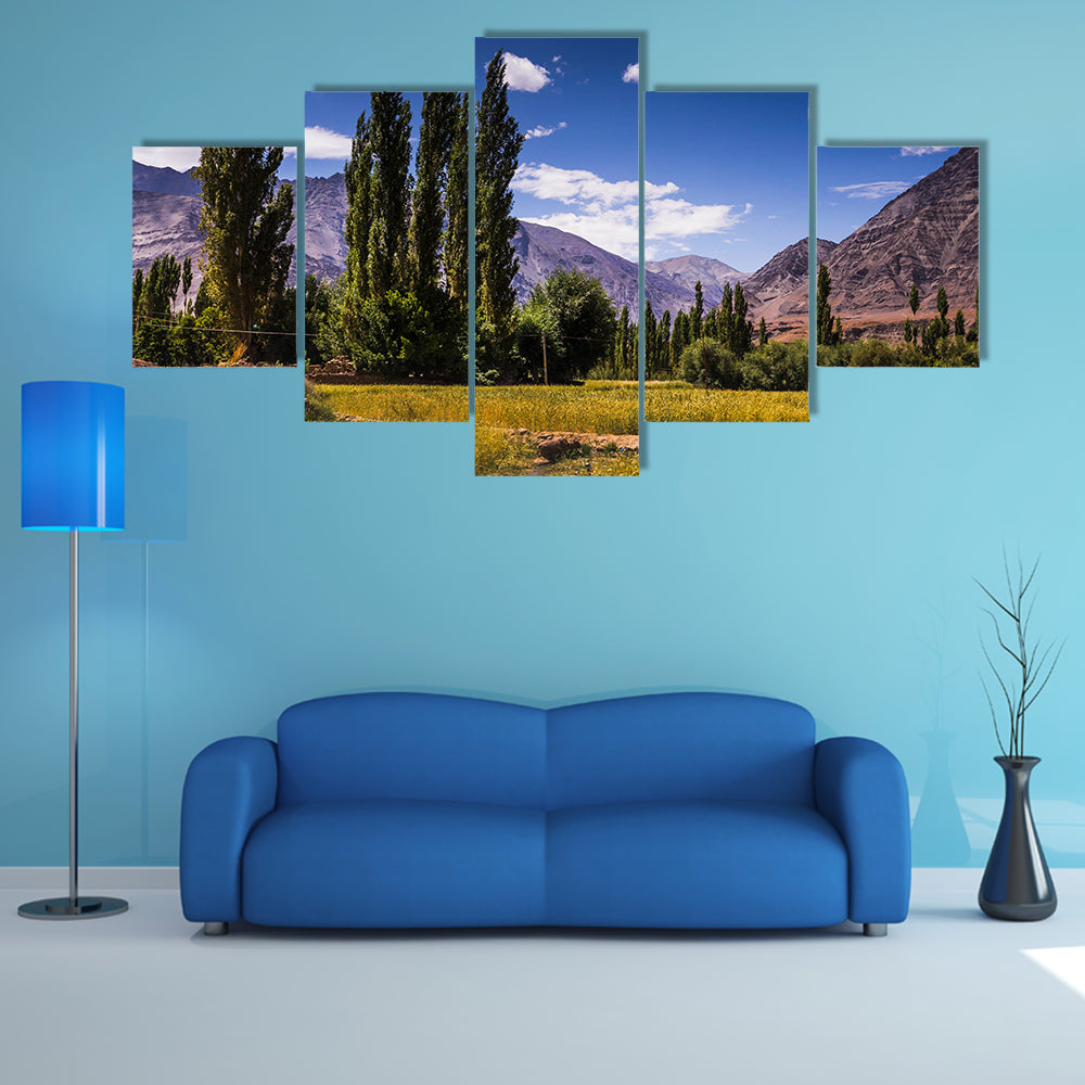 Beautiful view along the road in Leh, Ladakh, Jammu and Kashmir, India multi panel canvas wall art