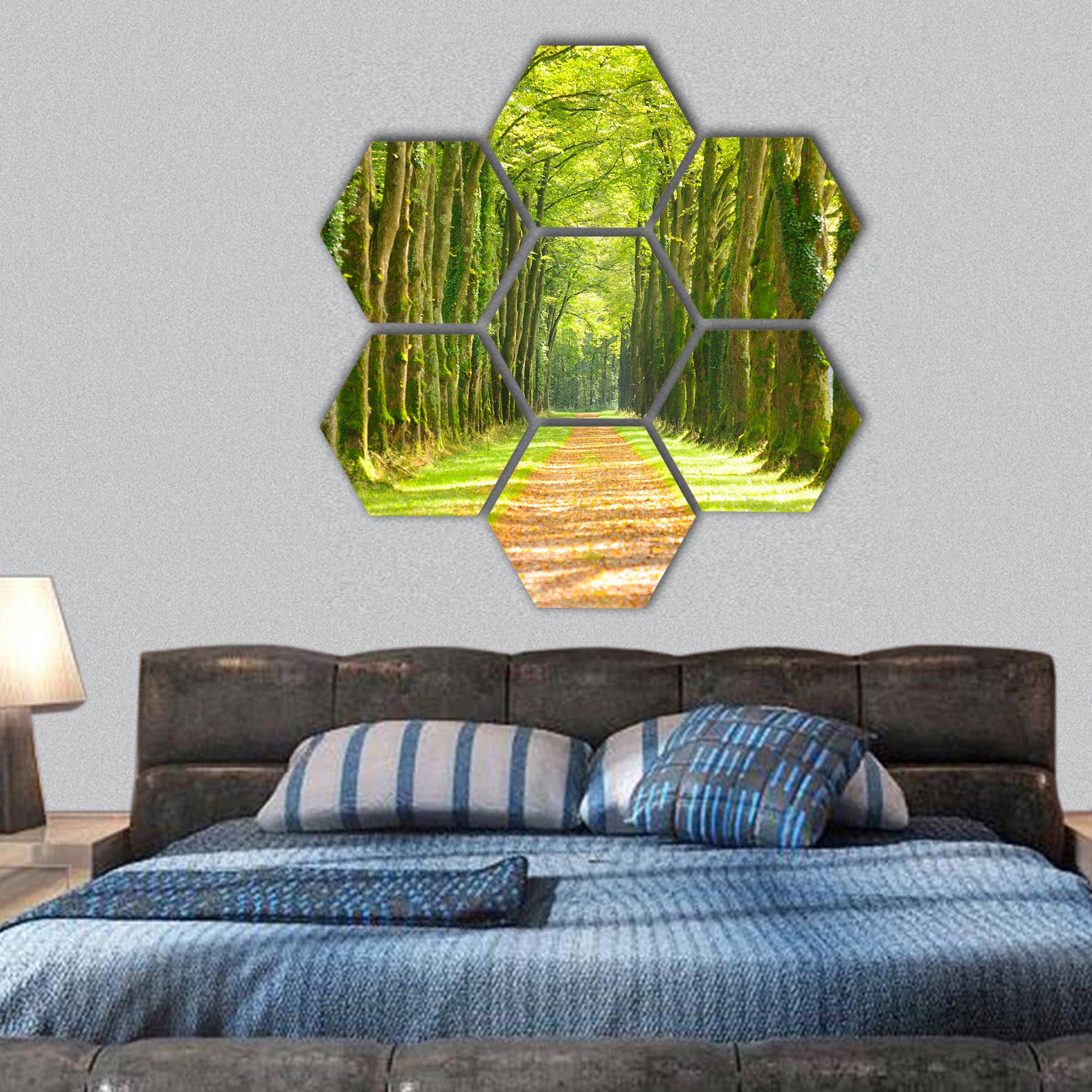 Avenue with many linden trees in row and footpath hexagonal canvas wall art