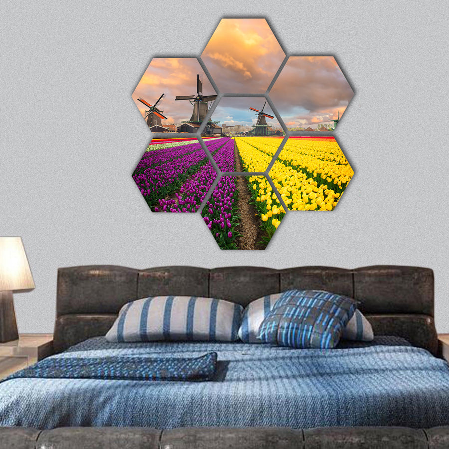 Dutch with windmill of Zaanse Schans over Zaan river hexagonal canvas wall art