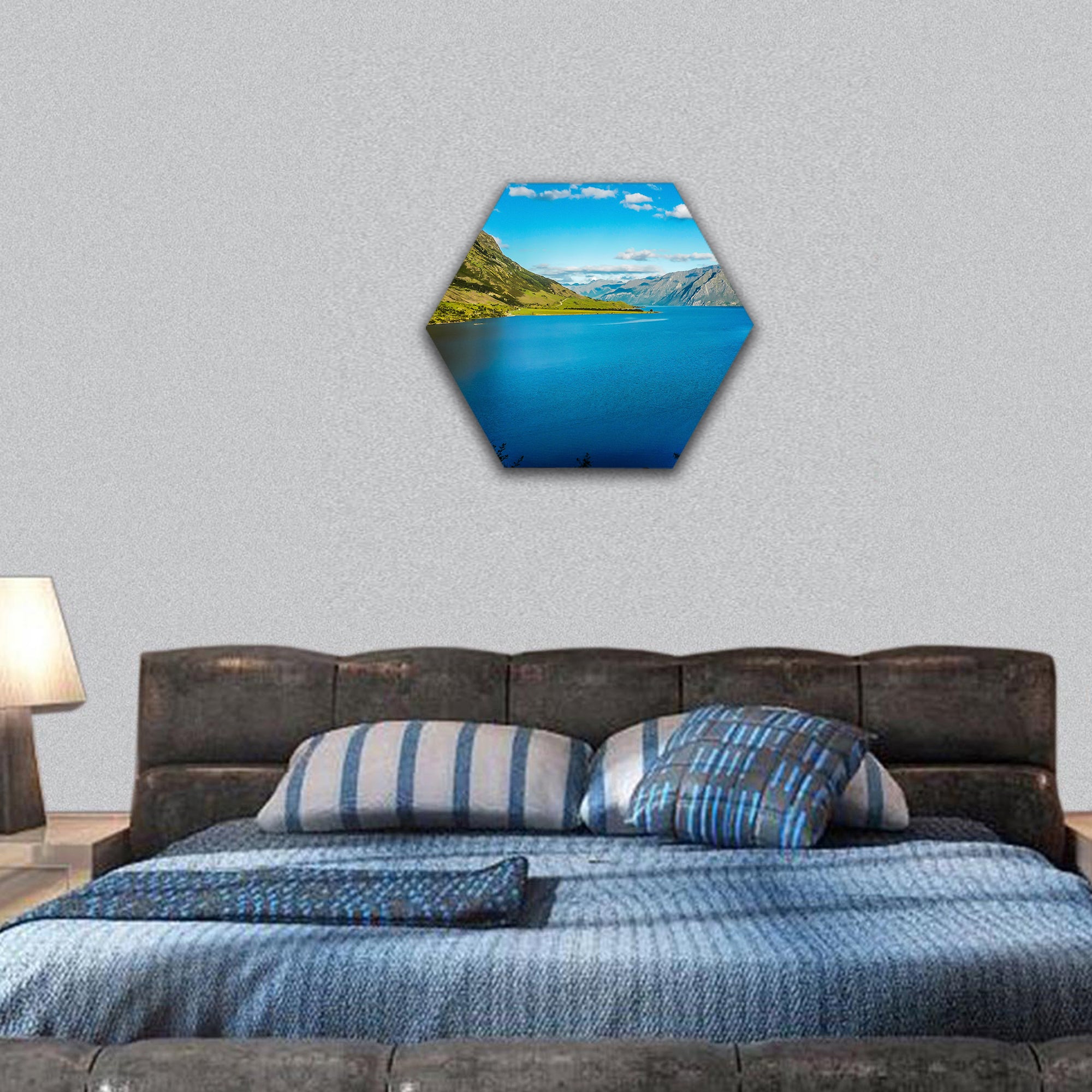Landscape and lake in the south Island, New Zealand hexagonal canvas wall art