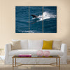 view onboard Searoad ferries Sorrento to Mornington Melbourne Australia multi panel canvas wall art