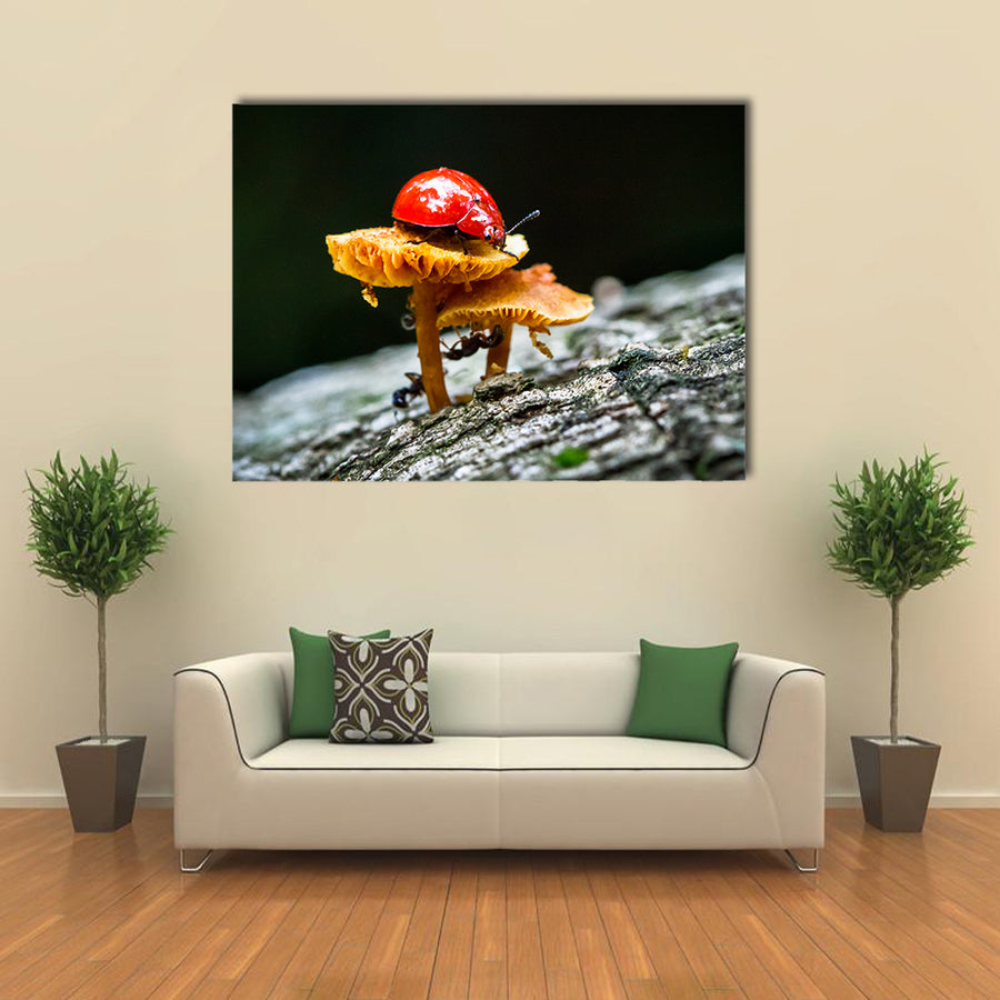 A ladybug sits on top of a mushroom in the dark jungle Multi Panel Canvas Wall Art