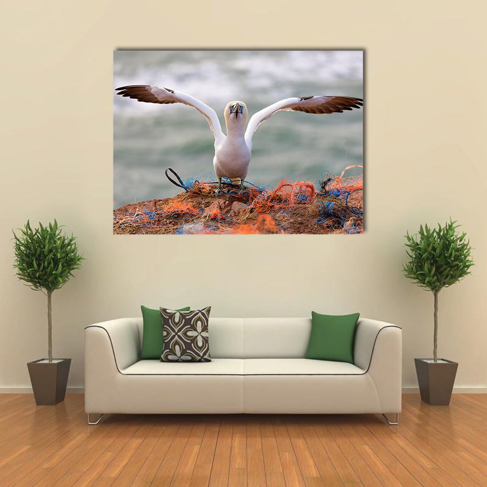 Northern Gannet Multi Panel Canvas Wall Art