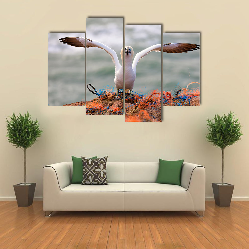 Northern Gannet Multi Panel Canvas Wall Art