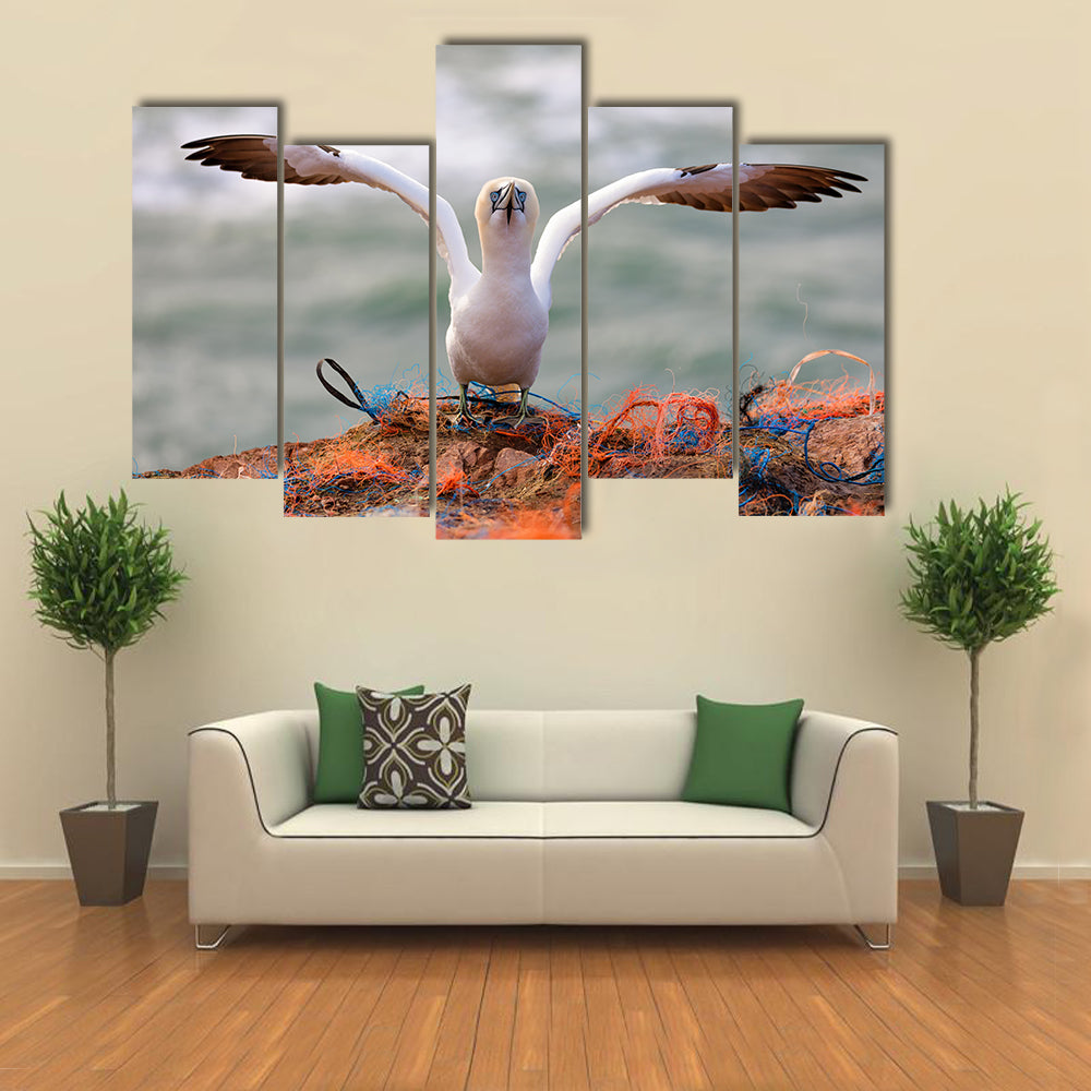 Northern Gannet Multi Panel Canvas Wall Art